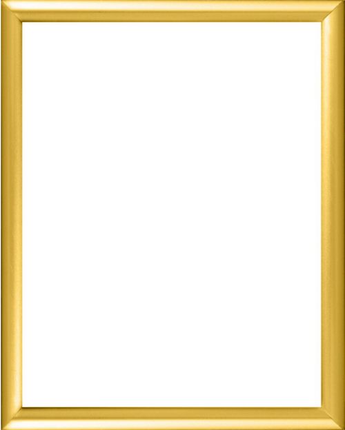 Gold Metal Frame